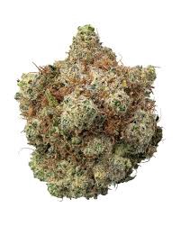 BUBBLEGUM THCA HEMP FLOWER